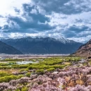 林芝旅游 缩略图 1