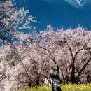 林芝旅游 缩略图 2