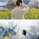 林芝旅游 缩略图 11
