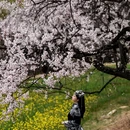 林芝旅游 缩略图 10