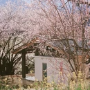 林芝旅游 缩略图 6