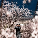 林芝旅游 缩略图 8