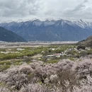 林芝旅游 缩略图 6