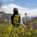 拉萨旅游 缩略图 1