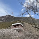 拉萨旅游 缩略图 3