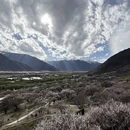 拉萨旅游 缩略图 9