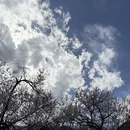 拉萨旅游 缩略图 5