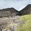 拉萨旅游 缩略图 8