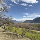 拉萨旅游 缩略图 11