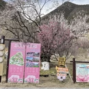 拉萨旅游 缩略图 18