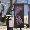 林芝旅游 缩略图 2