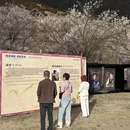 林芝旅游 缩略图 10
