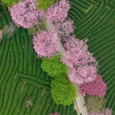 龙岩旅游 缩略图 3