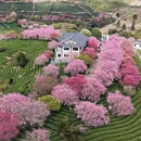 龙岩旅游 缩略图 2