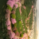 龙岩旅游 缩略图 1