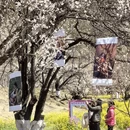 林芝旅游 缩略图 6