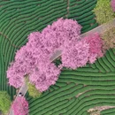 龙岩旅游 缩略图 4
