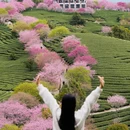 龙岩旅游 缩略图 6