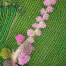 龙岩旅游 缩略图 7