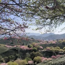 龙岩旅游 缩略图 2