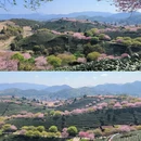 龙岩旅游 缩略图 1