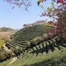 龙岩旅游 缩略图 3