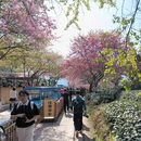 龙岩旅游 缩略图 6