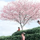 福州旅游 缩略图 2