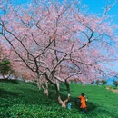 龙岩旅游 缩略图 2