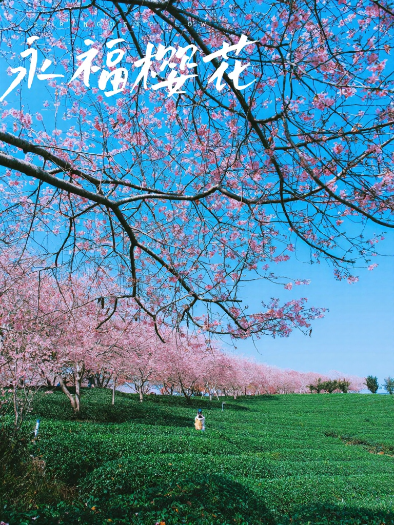 龙岩旅游