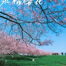 龙岩旅游 缩略图 1