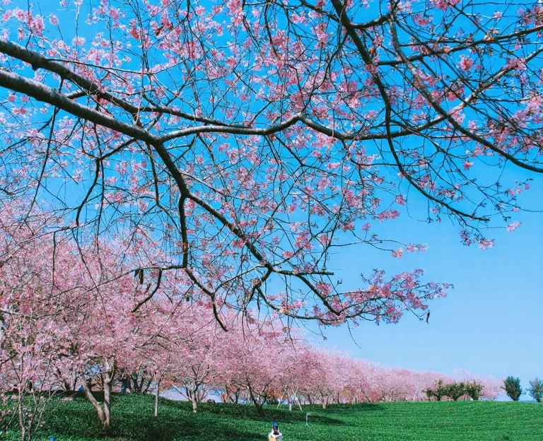 龙岩旅游 1