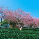 龙岩旅游 缩略图 3