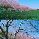 龙岩旅游 缩略图 4