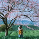 龙岩旅游 缩略图 6