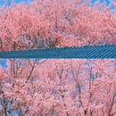 龙岩旅游 缩略图 5