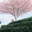 福州旅游 缩略图 3