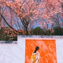 龙岩旅游 缩略图 8