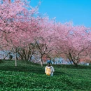 龙岩旅游 缩略图 7
