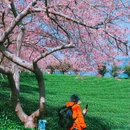 龙岩旅游 缩略图 13