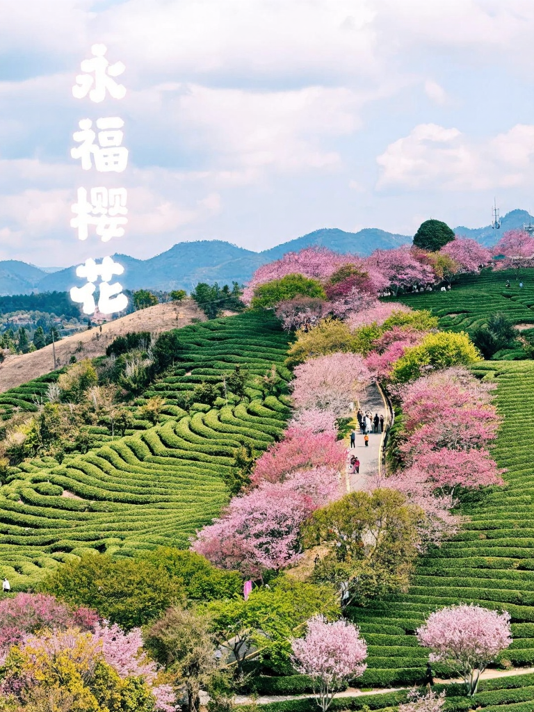 龙岩旅游