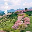 龙岩旅游 缩略图 1