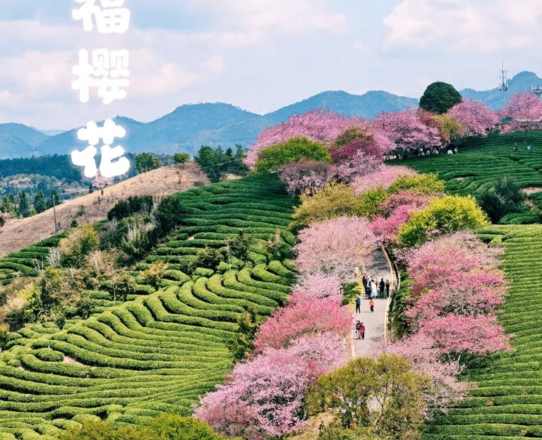 龙岩旅游 1