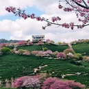 龙岩旅游 缩略图 3
