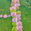 龙岩旅游 缩略图 2