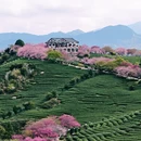 龙岩旅游 缩略图 5