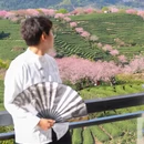 龙岩旅游 缩略图 1