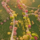 龙岩旅游 缩略图 6