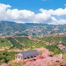 龙岩旅游 缩略图 7