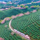 龙岩旅游 缩略图 8